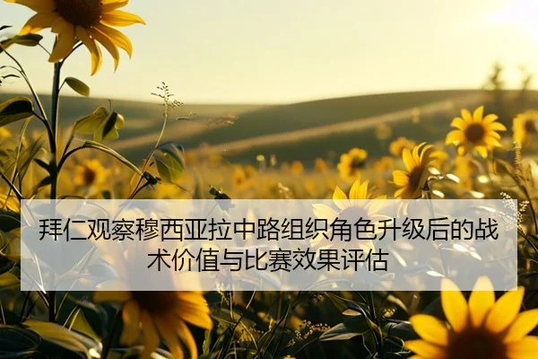 拜仁观察穆西亚拉中路组织角色升级后的战术价值与比赛效果评估